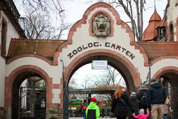 Nach Seuchen-Ausbruch in Brandenburg: Streichel-Gehege im Zoo Leipzig schließen