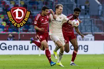 Enttäuschter Vermeij gibt die Richtung für Dynamo vor: "Mund abwischen, weitermachen"