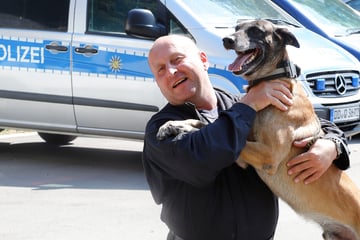 Chemnitz: Dieser Hund war immer da, wenn's brenzlig wurde: Super-Spürnase Mylo geht in den Ruhestand