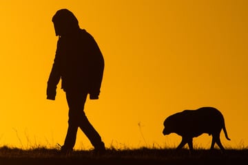 Hund stirbt: Polizei warnt vor ausgelegten Giftködern