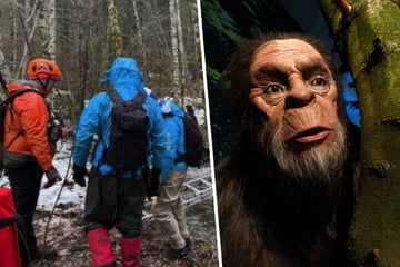 Auf der Suche nach Bigfoot: Zwei Männer finden den Tod!