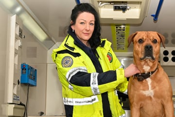 Chemnitz: Wer will Tieren in Not helfen? Chemnitzer Verein sucht engagierte Retter