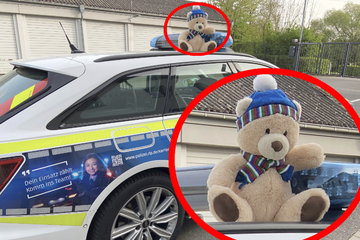 Teddybär sucht seinen traurigen Besitzer: Polizei bittet um Mithilfe