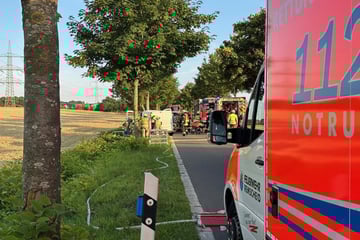 Kleintransporter rast gegen Baum: Fahrer in stark deformiertem Wagen eingeklemmt