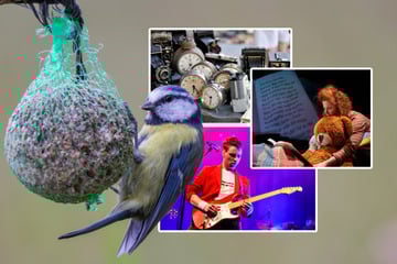 Acht Ausflugsideen für den letzten Ferien-Samstag