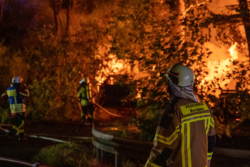Flammeninferno fordert Opfer: Tiere sterben in Scheune, Waldbrand gerade noch verhindert