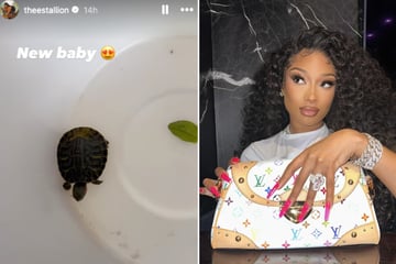 Megan Thee Stallion has a new cold-blooded pet!