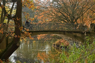 Noch einmal Goldener Herbst in Sachsen, doch dann wird's düster