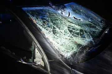 VW kracht mit Hirsch zusammen: 20-Jährige muss ins Krankenhaus