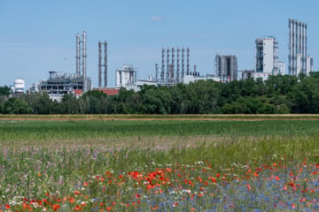 Jetzt ist klar: So viele Jobs fallen bei sächsischem Chemie-Standort weg