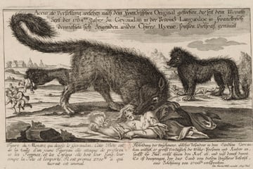 Heute vor 259 Jahren: Der ungelöste Mythos der Bestie von Gévaudan