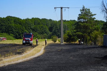 Stromleitung reißt und setzt Felder in Brand