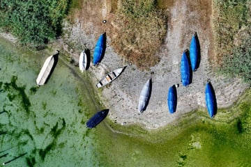 Seegrund freigelegt, Ausflugsschiffe können nicht fahren: Bodensee fällt auf historischen Tiefstand