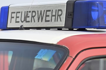 Noch nicht mal Sommer und schon Waldbrände in Baden-Württemberg