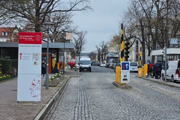 Radler drängelt sich vor Bus und löst Unfall aus und flüchtet
