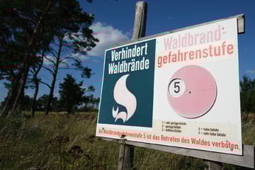 Waldbrandgefahr in Sachsen-Anhalt steigt weiter