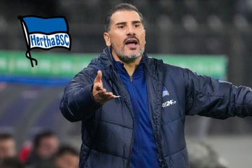 Nächster Hertha-Star kaputt: "Es gibt keinen Grund Alarm zu schlagen"