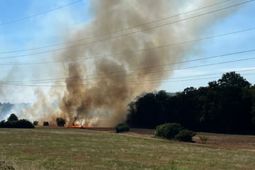 Waldbrandgefahr! So stellt sich die Feuerwehr auf