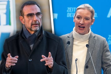 Klaus Holetschek geht Alice Weidel an: AfD hat neuen "Höhepunkt des Irrsinns" erreicht