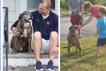 Mann lädt ganze Nachbarschaft zu letztem Spaziergang von sterbenskrankem Hund ein
