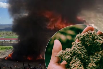 Polizei verbrennt 20 Tonnen Marihuana mitten in der Stadt: Kompletter Ort fünf Tage high