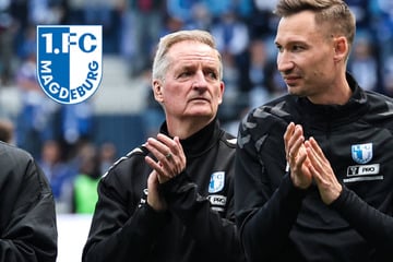 Einjähriges Jubiläum: FCM-Coach Petrik Sander blickt auf "herausforderndes" letztes Jahr