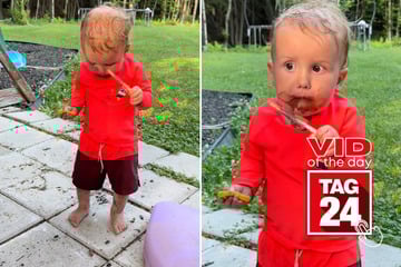 viral videos: Viral Video of the Day for September 1, 2025: Chocolate-covered boy has TikTok laughing
