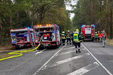 Auto kracht in Baum und fängt Feuer: Fahrerin tot geborgen