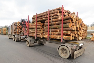 Völlig überladen: Polizei muss Dutzende Holztransporter aus dem Verkehr ziehen