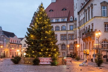 Mann sägt Weihnachtsbaum auf Marktplatz in Sachsen mit Kettensäge an