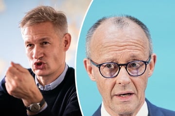 Friedrich Merz mit Glatze? Bekannter Journalist findet, Kanzler sollte sich "Haarinsel" abrasieren