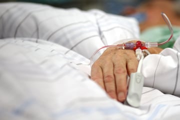 Tödliches Borna-Virus: Sorge nach neuen Infektionen in Oberbayern