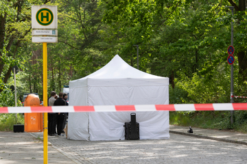 Berlin: Nach Parkplatz-Mord am Vater: Auch Freundin (16) des Sohnes in U-Haft