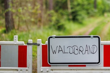 Waldbrand in Mittelfranken: 34.000 Quadratmeter zerstört, 350 Feuerwehrleute gefordert