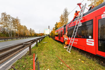 Laster beschädigt Oberleitung: Straßenbahnverkehr in Plauen teilweise lahmgelegt