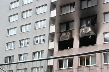 Berlin: Mutter und zwei Kinder sterben bei Hochhaus-Brand: Brach Feuer in Messie-Wohnung aus?