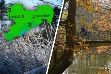 Winter kam schnell, aber wo ist er hin? So startet Sachsen in den Dezember