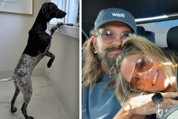 Pikante Sex-Details! Bei Tom Kaulitz und Heidi Klum schauen die Hunde zu