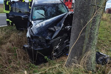 Lenkrad verzogen: Volvo kracht frontal in Baum, Totalschaden!