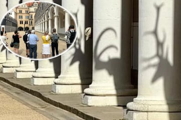 Dresden: Dresdens neueste Attraktion? Schaulustige bewundern seltenes Licht-Spektakel