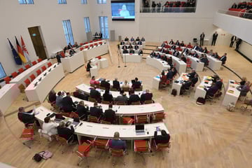 Debatte um Schul-Quote: AfD will Migration an Brandenburger Schulen begrenzen