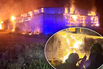 Halle brennt lichterloh: Feuerwehr stundenlang im Einsatz, Schaden in Millionenhöhe