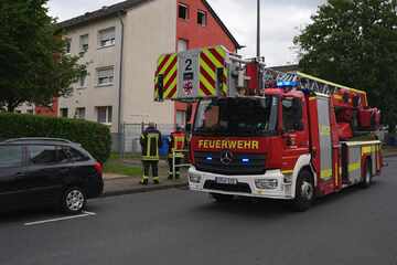 Wohnungsbrand in Leverkusen: Haustiere sterben in den Flammen