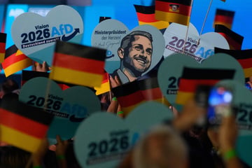 Wirtschaftsinstitut: AfD-Wähler schaden sich aus diesem Grund selbst am meisten