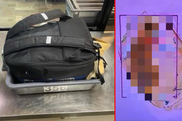 Was Flughafen-Mitarbeiter in diesem Rucksack finden, macht sprachlos!
