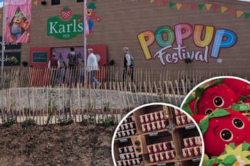 Endlich geht es los: Karls "Pop-up-Festival" eröffnet im Harz