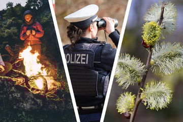 Weidenkätzchen, Feuer, Tanzen: Wo Ostern zur Bußgeld-Falle werden kann