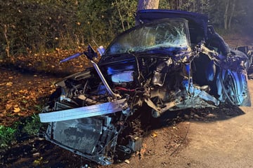 Horror-Crash endet tödlich: Audi kracht gegen zwei Bäume