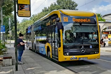 DVB erweitern die Elektrobus-Flotte