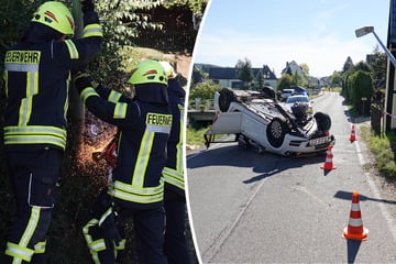 VW-Fahrer im Krankenhaus, Golf und Laterne Schrott: War ein Insekt dafür verantwortlich?